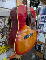 Ibanez - Concord 684