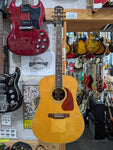 Epiphone - PR 800S
