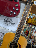 Epiphone - PR 800S