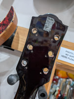 Suzuki - SG Project Guitar