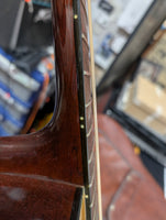 Epiphone - PR 350-12