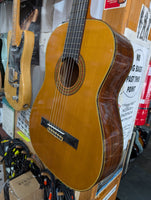 Abe Guitar / Zen-On - AG-530