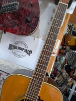Y.G.C. Acoustic Minoru Kato - Model No. 481006