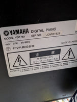 YAMAHA - YDP-151