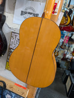 Brian Knowles - Flamenco Guitar