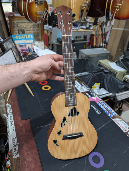 Bruce Wei  - BW-UG15