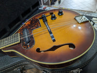 Samick - SM20E/TS Mandolin – musicswopshop