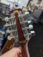 Samick - SM20E/TS Mandolin – musicswopshop