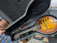 Samick - SM20E/TS Mandolin – musicswopshop