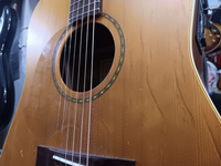Maton - M325