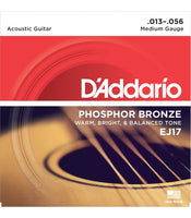 D'Addario EJ17